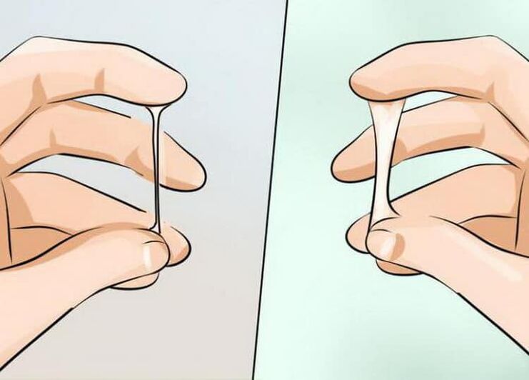 Pelincir yang dikeluarkan dari zakar apabila lelaki terangsang